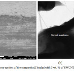 Figure 2a: SEM image of the cross-section of the composite II loaded with 5 wt. % of SWCNTs; (b) TEM image of its fragment.
