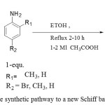 Figure 1: The synthetic pathway to a new Schiff bases