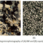 Figure 1: Polarized optical microphotography of (A) 6M and (B) copolymer 5b