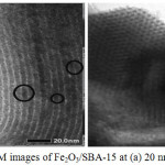 Figure 4: TEM images of Fe2O3/SBA-15 at (a) 20 nm and (b) 50 nm
