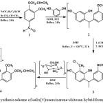 Figure 2: Synthesis scheme of calix[4]resorcinarene-chitosan hybrid from vanillin