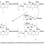 Figure 5: Reaction mechanism of calix[4]resorcinarene-chitosan hybrid formation