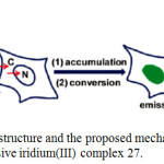 Scheme 12: Chemical structure and the proposed mechanism of nuclear staining with nonemissive iridium(III) complex 27.