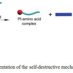 Scheme 19: Cartoon representation of the self-destructive mechanism. Reproduced with permission from ref. 41. Copyright (2017) American Chemical Society.