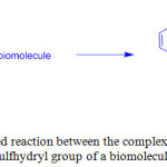 Scheme 2: Proposed reaction between the complex cation of 1 and the sulfhydryl group of a biomolecule.