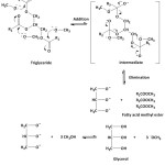 Figure 3: Transesterification reaction mechanism of triglyceride