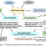Figure 1: Schematic representation of molecular docking method
