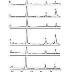 Figure 3: HPLC chromatogram of sterol standard and wild grape extracts detected by DAD at 205 nm.