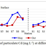 Figure 2: Concentrations of particulate Cd (mg L-1) at different sampling periods
