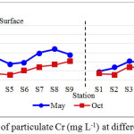 Figure 3: Concentrations of particulate Cr (mg L-1) at different sampling periods