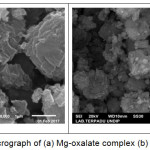 Figure 9: SEM of micrograph of (a) Mg-oxalate complex (b) MgO nanoparticles