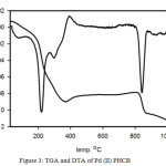 Figure 3: TGA and DTA of Pd(II)PHCB