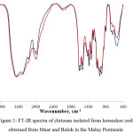 Figure 1: FT-IR spectra of chitosan isolated from horseshoe crab obtained from Muar and Balok in the Malay Peninsula