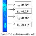 Figure 2: TLC profile of coconut PLs under UV lamp λ=365 nm