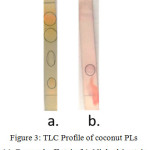 Figure 3: TLC Profile of coconut PLs (a). Dragendorff stain (b). Ninhydrin stain