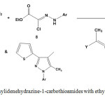 Scheme 3: Reaction of ethylidenehydrazine-1-carbothioamides with ethyl N-aryl-2-chloro-2-hydrazono acetate