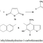 Scheme 32: Reaction of ethylidenehydrazine-1-carbothioamides with maleic anhydride