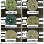 Figure 3: Clear zones of chitosan and nanosilver coated chitosan against different types of microbes