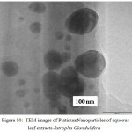 Figure 10: TEM images of PlatinumNanoparticles of aqueous leaf extracts Jatropha Glandulifera