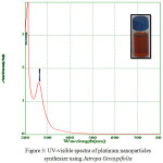 Figure 3: UV-visible spectra of platinum nanoparticles synthesize using Jatropa Gossypifolia