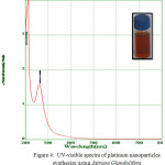 Figure 4: UV-visible spectra of platinum nanoparticles synthesize using Jatropa Glandulifera