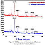 Figure 6: XRD spectrum  of  biosynthesised Platinum Nanoparticles leaf extracts of Jatropa