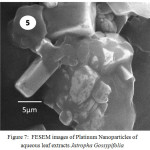 Figure 7: FESEM images of Platinum Nanoparticles of aqueous leaf extracts Jatropha Gossypifolia