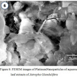 Figure 8: FESEM images of PlatinumNanoparticles of aqueous leaf extracts of Jatropha Glandulifera