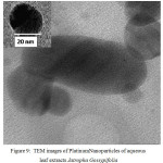 Figure 9: TEM images of PlatinumNanoparticles of aqueous leaf extracts Jatropha Gossypifolia