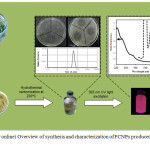 Figure 1:  (Color online) Overview of synthesis and characterization of FCNPs produced from C. vagabunda.