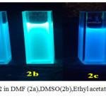 Figure 1: Luminol (in DMF) and 2 in DMF (2a),DMSO(2b),Ethyl acetate(2c),THF(2d) under UV at 365 nm.