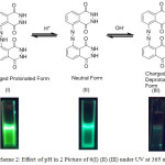 Scheme 2: Effect of pH in 2 Picture of 6(I) (II) (III) under UV at 365 nm