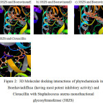 Figure 2: 3D Molecular docking interactions of phytochemicals in Boerhaviadiffusa (having most potent inhibitory activity) and Cloxacillin with Staphalococus aureus monofunctional glycosyltransferase (3HZS)