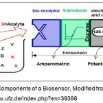 Figure 1: Components of a Biosensor, Modified from: https://www.ufz.de/index.php?en=39398