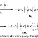 Figure 15: Method for POS modification by amino groups through the cyclosiloxane opening 