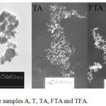 Figure 2: TEM images of the samples A, T, TA, FTA and TFA.