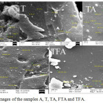 Figure 3: FE-SEM images of the samples A, T, TA, FTA and TFA.