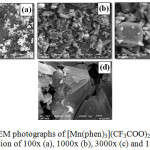 Figure 5: SEM photographs of [Mn(phen)3](CF3COO)2.1.35H2O at magnification of 100x (a), 1000x (b), 3000x (c) and 10,000x (d)