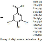 Scheme 1: Synthetic pathway of alkyl esters derivative of gallic acid 2-15