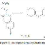 Figure 5: Tautomeric forms of Schiff base