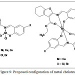 Figure 9: Proposed configuration of metal chelates