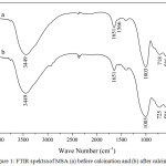 Figure 1: FTIR spektra of MSA (a) before calcination and (b) after calcination