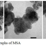 Figure 3: TEM micrographs of MSA