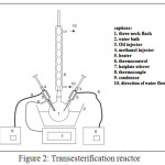 Figure 2: Transesterification reactor