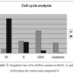 Figure 2: Graphical view of % of DNA content in G0/G1, S, and G2/M phase for control and compound 5i