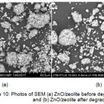 Figure 10: Photos of SEM (a) ZnO/zeolite before degradation and (b) ZnO/zeolite after degradation