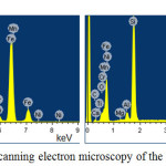 Figure 5: Scanning electron microscopy of the ferroalloys