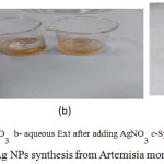 Figure 2: Color change of Ag NPs synthesis from Artemisia monosperma