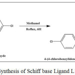 Scheme 1: Synthesis of Schiff base Ligand L1