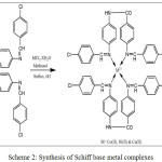 Scheme 2: Synthesis of Schiff base metal complexes